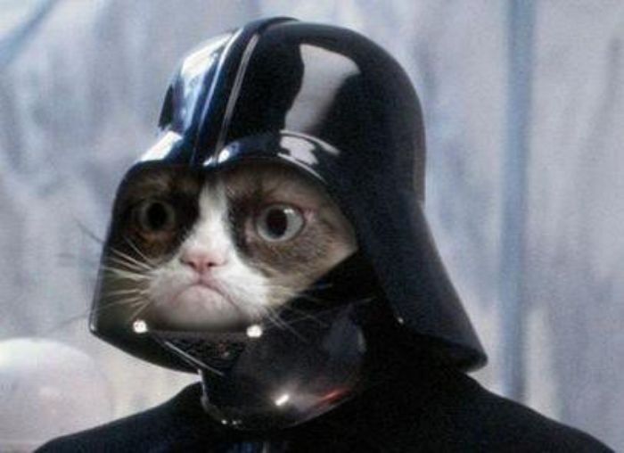 Grumpy Cat Star Wars Meme